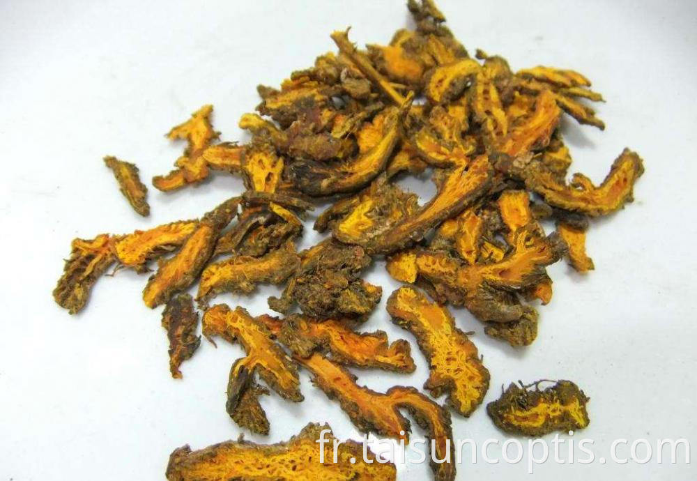 Chinese Herbs Radix Coptis